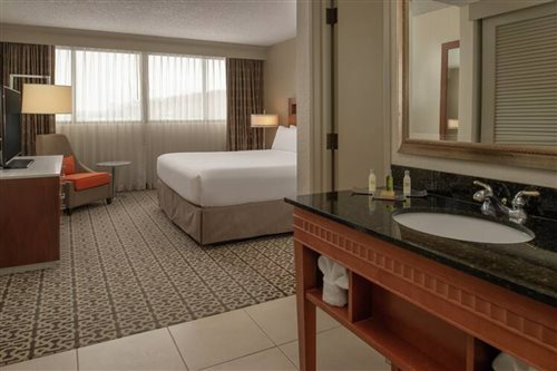 Conference, Suite, King Bed