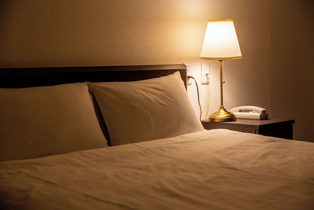 Rozy Hotel Namba 36/63