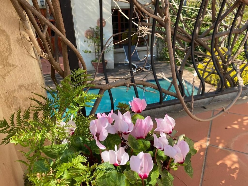 Tuscan Rose 39/50