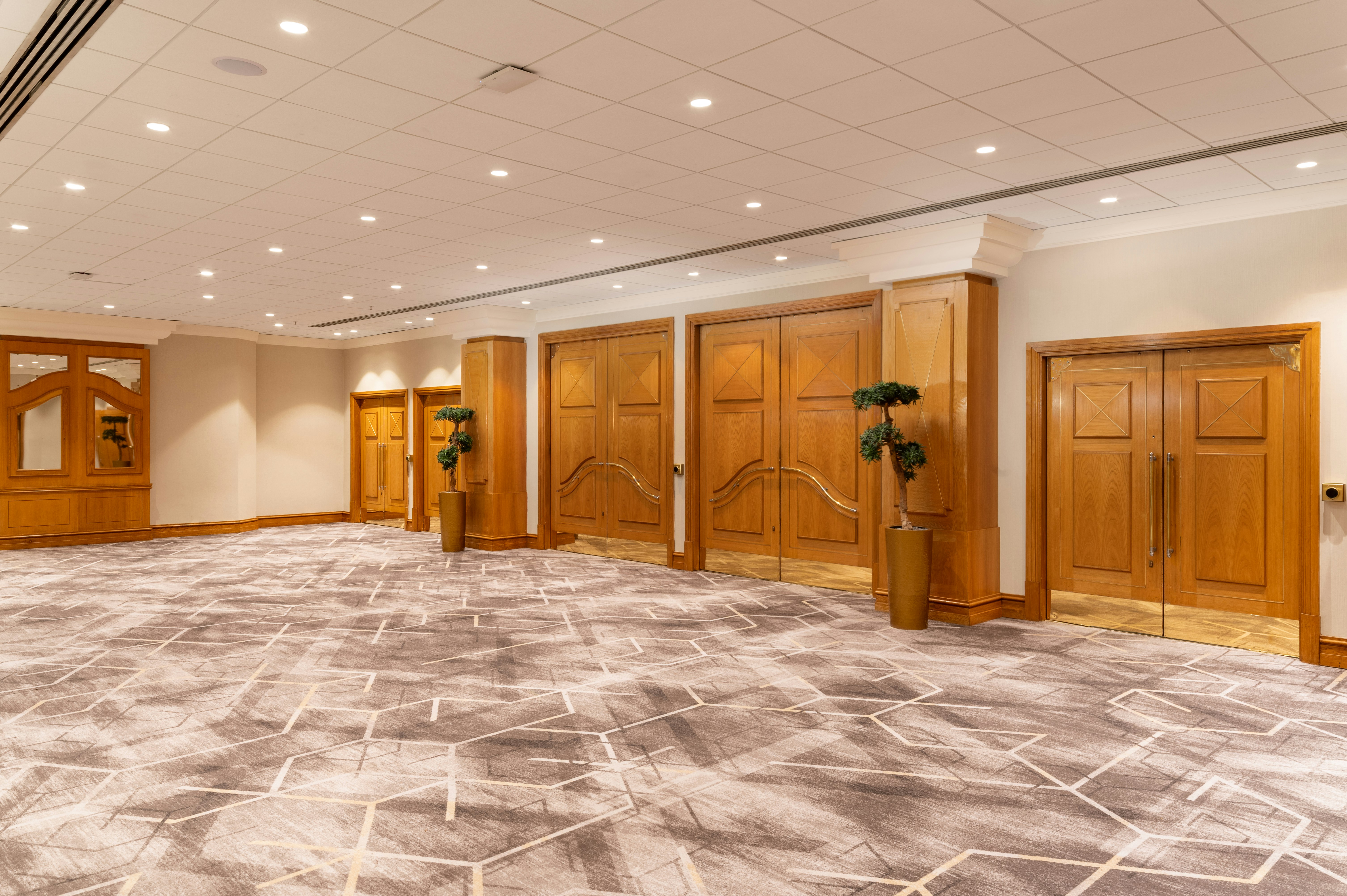 Hilton Birmingham Metropole 7/78