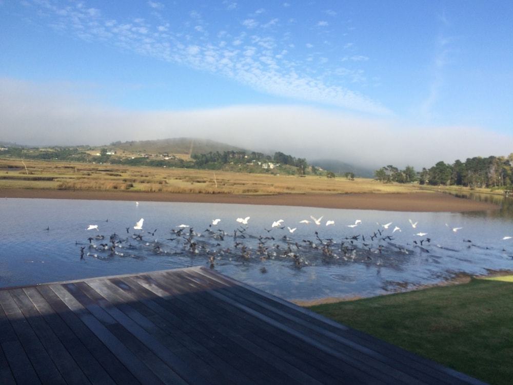 Moonriver Self-catering 20/29