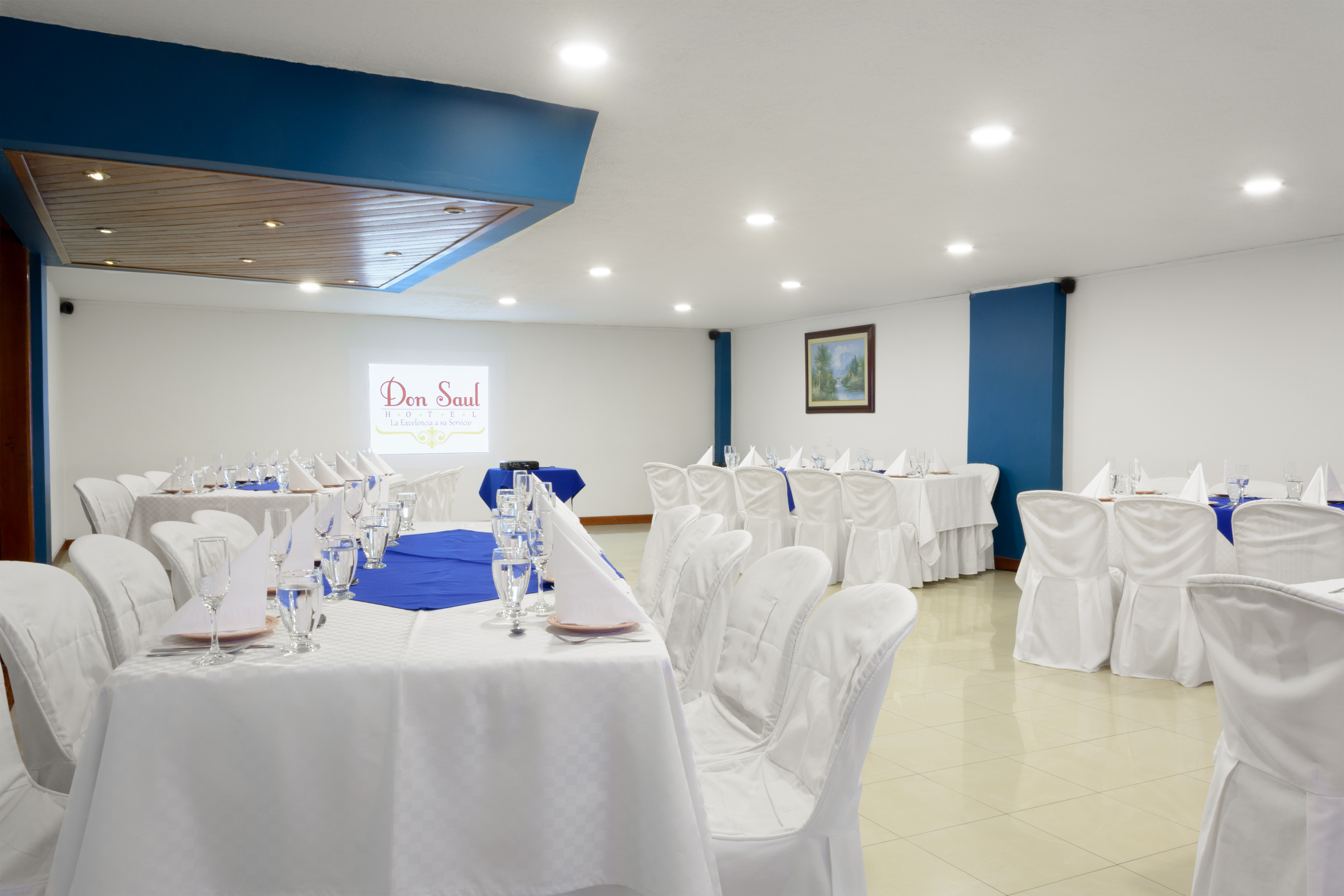 Hotel Don Saul 40/50