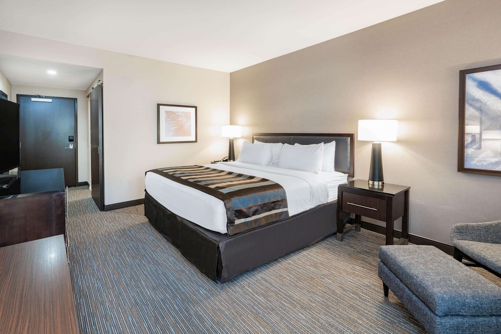 Room, King Bed