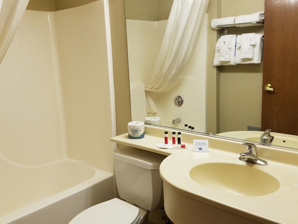 Microtel Inn Suites by Wyndham Rapid City 20/48