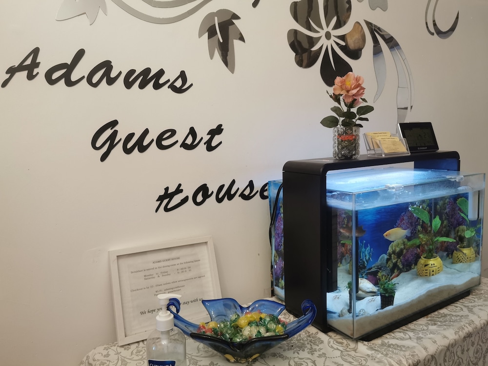 Adams Guest House 4/62