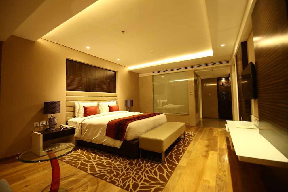 RADISSON UDAIPUR 30/69