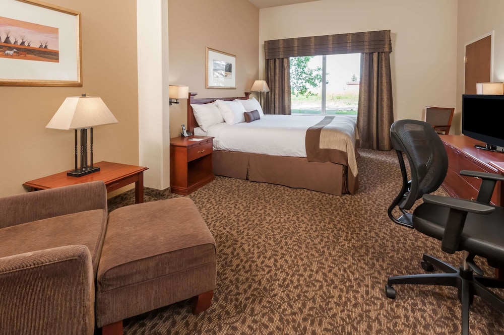 Wingate by Wyndham Edmonton West 13/31