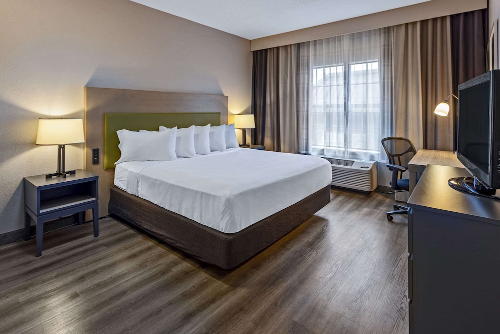 Room, King Bed
