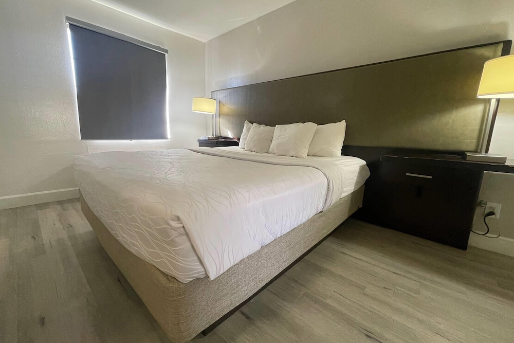 1 BEDROOM, SUITE
