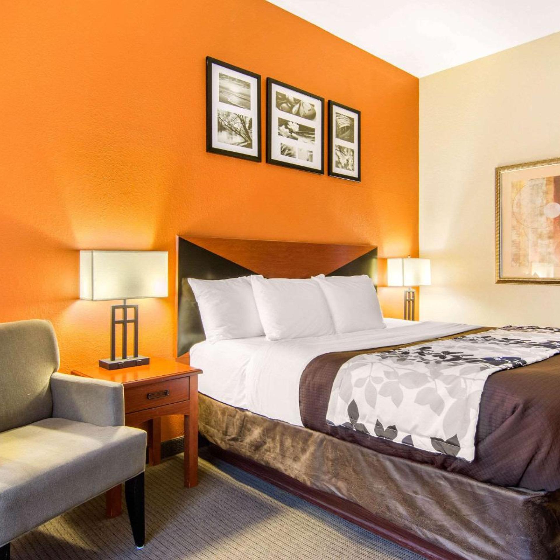 Room, King Bed, Pet Friendly, Sleep Inn & Suites Athens South 3/7