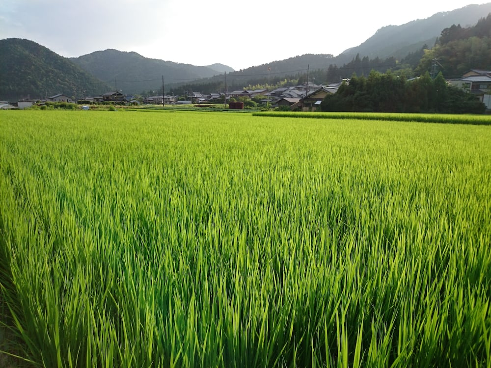 Yumoto Onsen Oharasansou 47/49