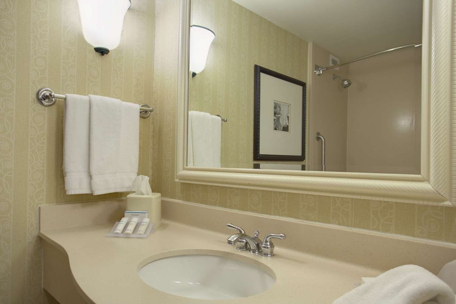 غرفة بسرير مزدوج لذوي الإعاقة، Hilton Garden Inn San Francisco Airport North 2/2