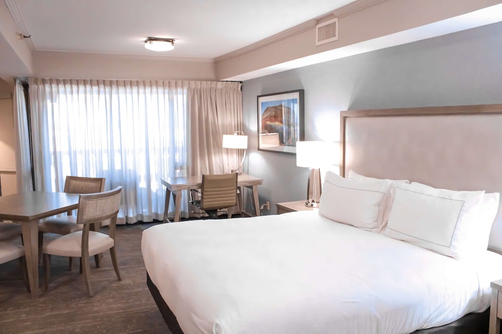 DoubleTree by Hilton Phoenix Mesa 13/69