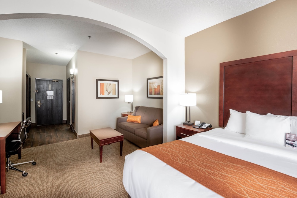 Comfort Inn & Suites Love Field Dallas Market Center 12/37