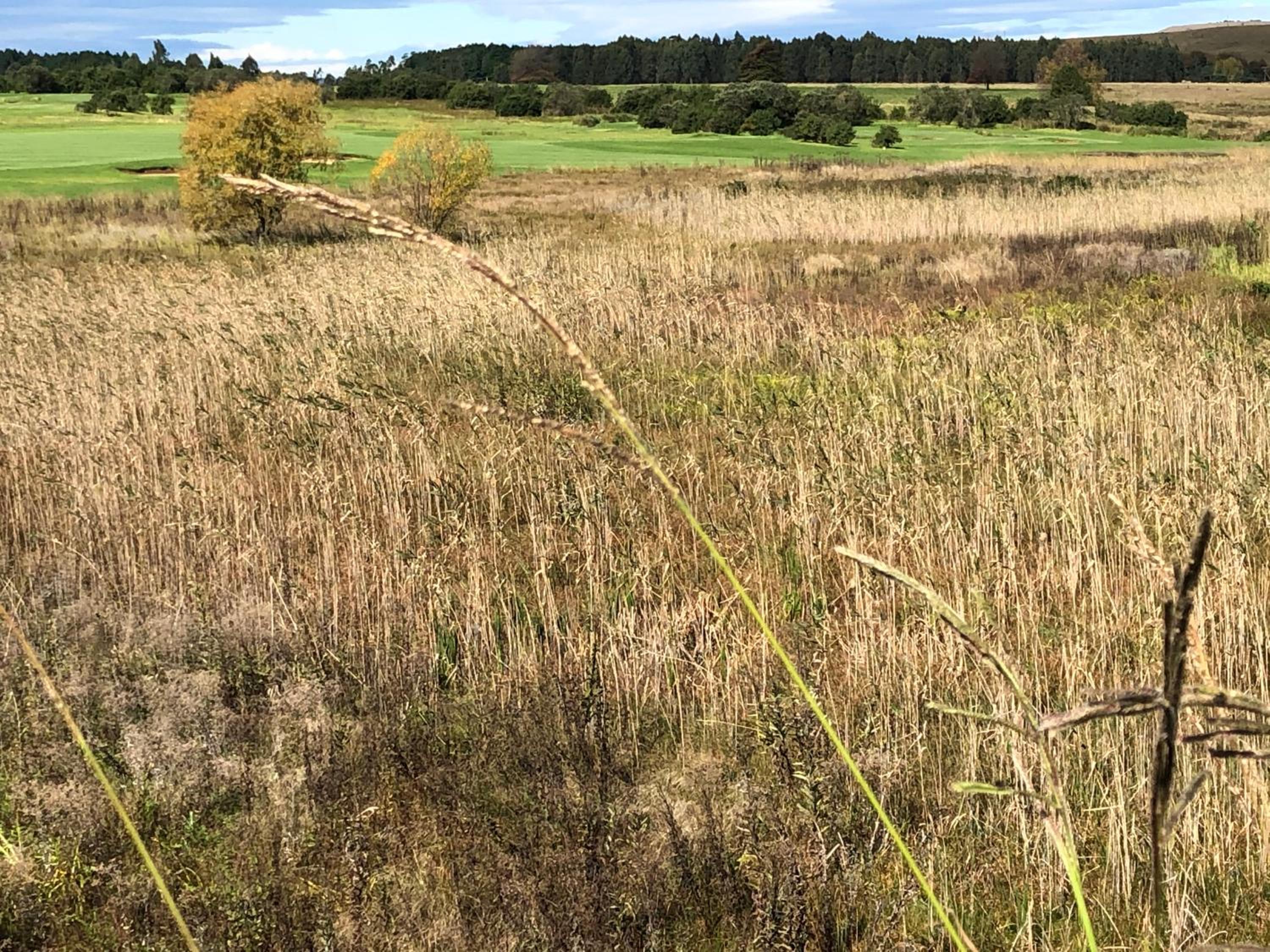 Gowrie Farm Golf Estate 47/50