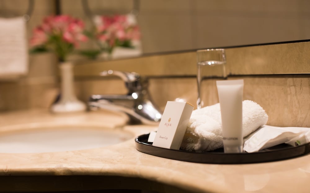 Alba Hotel Meru 22/50