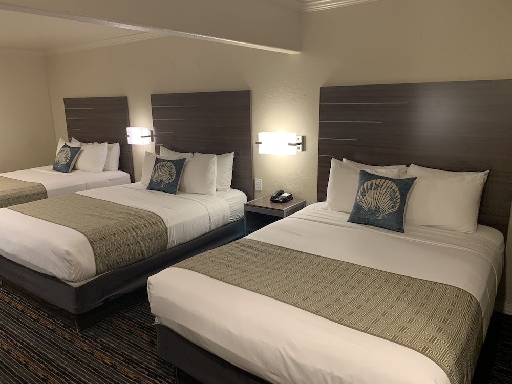 FAMILY, MULTIPLE BEDS