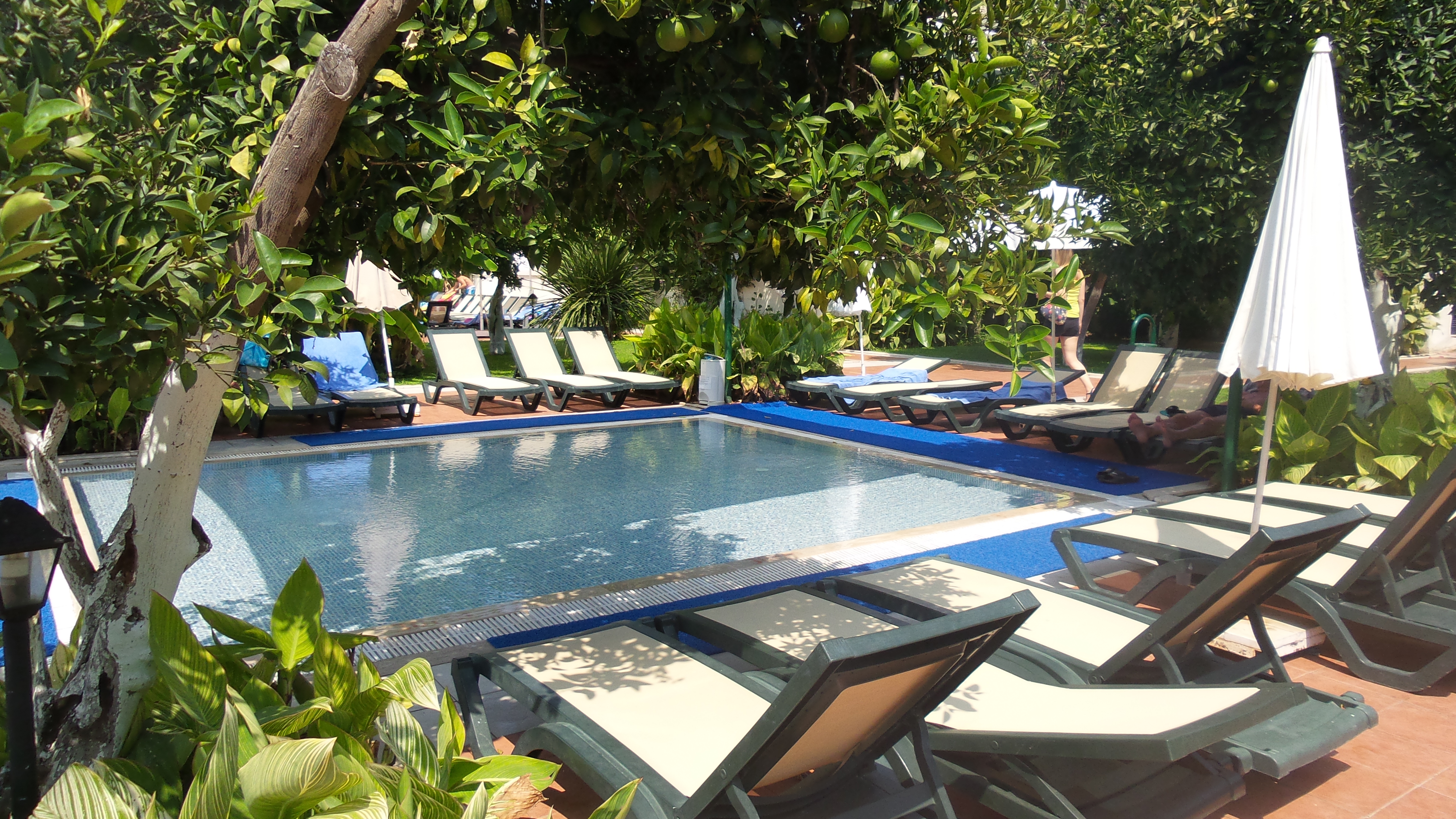 Viking Garden Hotel and Spa 45/51