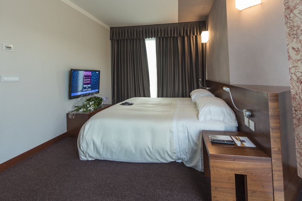 Aqualux Hotel Spa Suite & Terme 6/60