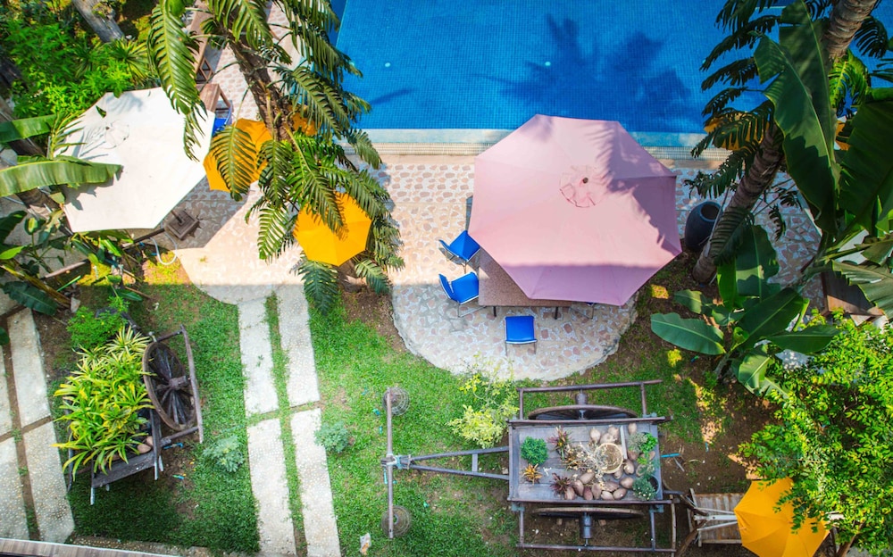 The Coconut House 45/50