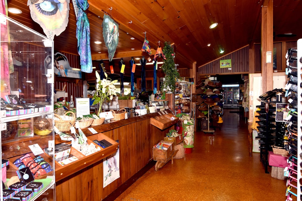 O Reilly S Rainforest Retreat 14/48