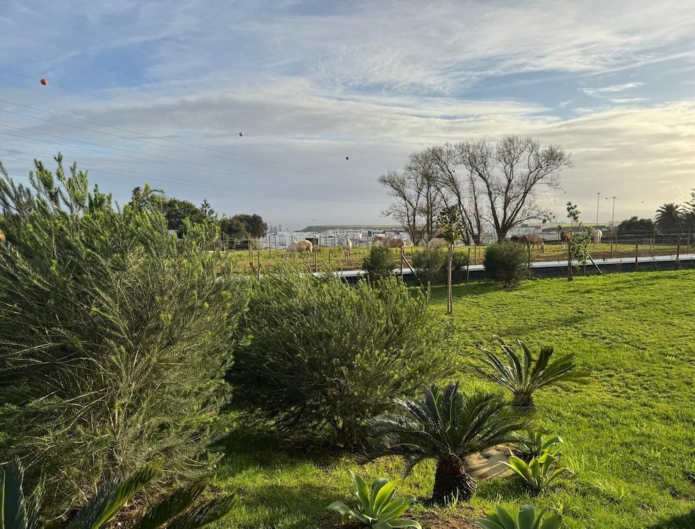 Lusitano Garden Villas 42/50