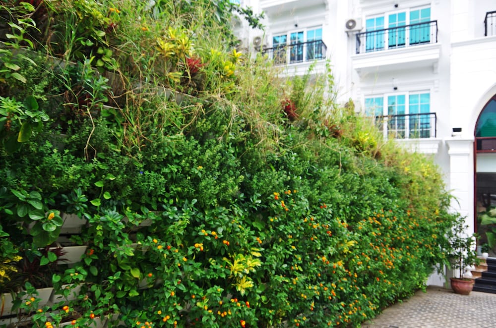 Ngoc Chau Hotel 50/60