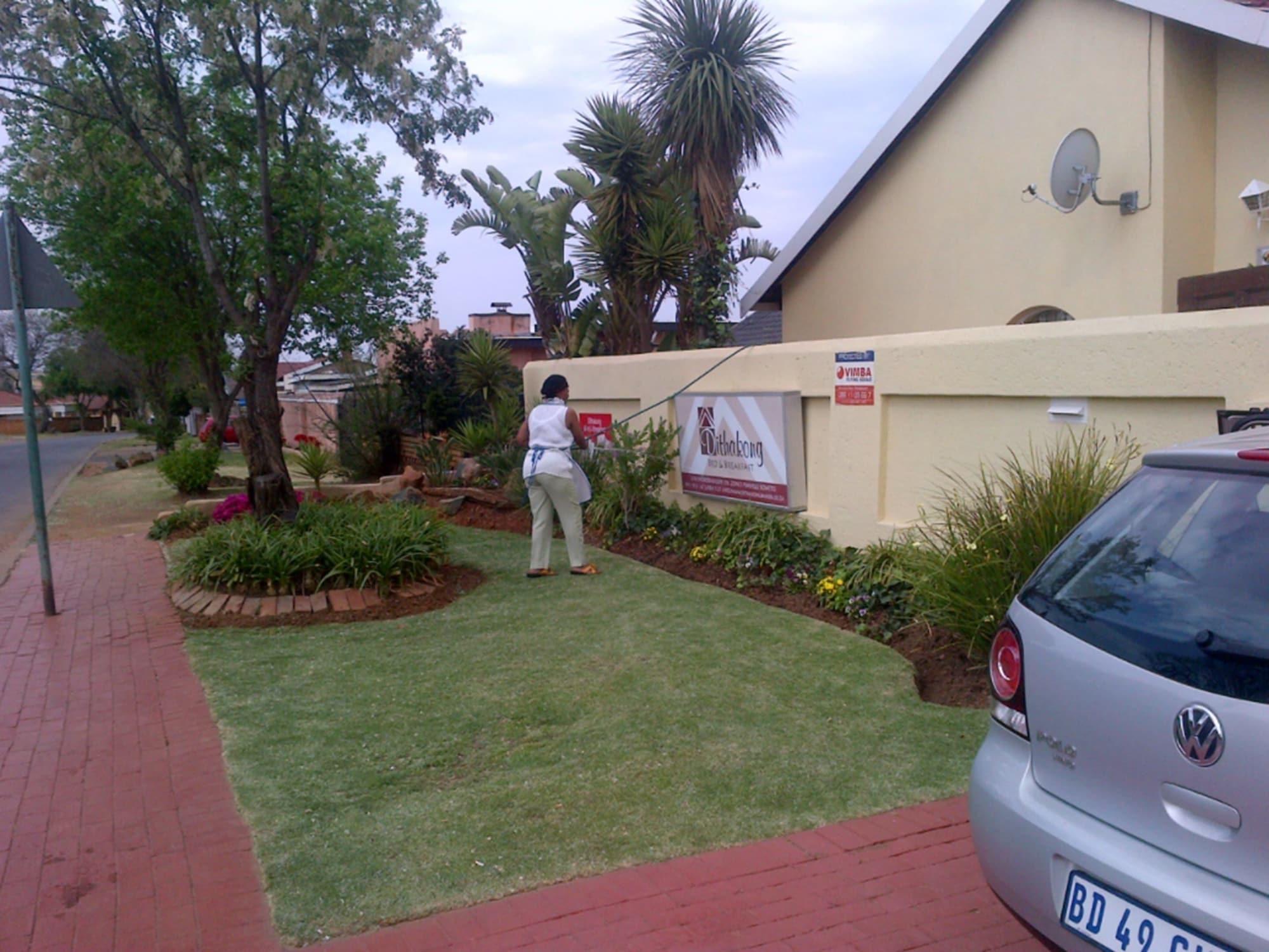 Dithakong Bed & Breakfast 10/17