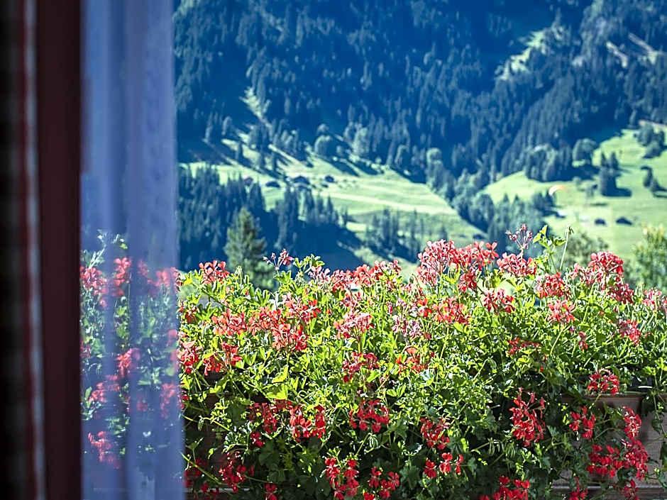 Bernerhof Hotel 11/15