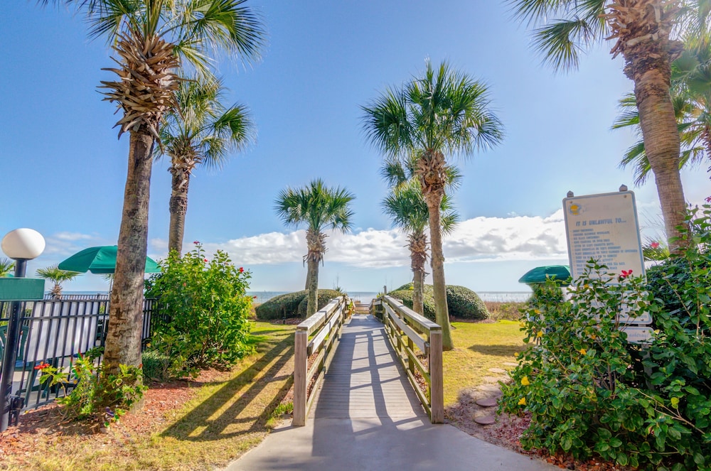 Palms Resort 44/79