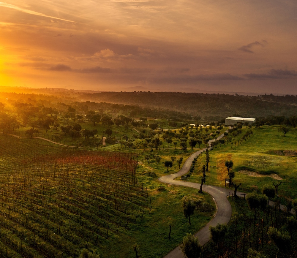 Herdade da Rocha - Boutique Lodge 44/59