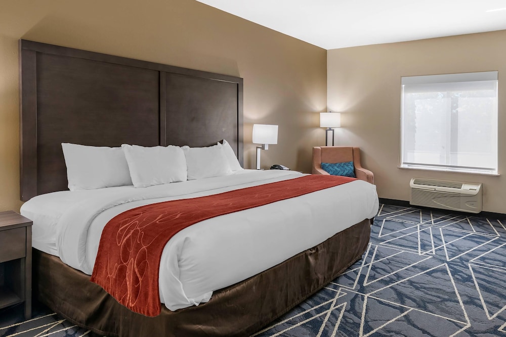 SUITE, KING BED, ACCESSIBLE