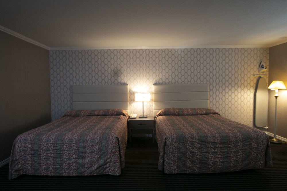Alpha Inn And Suites (Ex.Knights Inn San Francisco/On Lombard Street) 23/37
