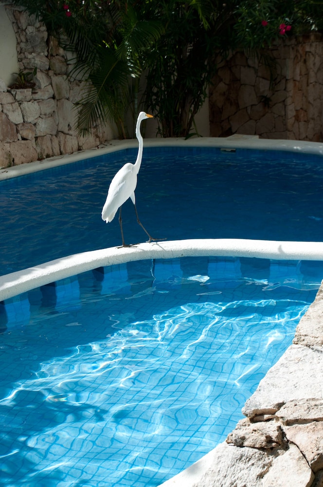 Hotel el Moro 60/68