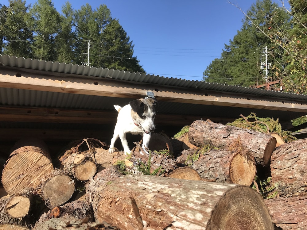 Hakuba Iwatake Lodge Gakuyuso 11/40