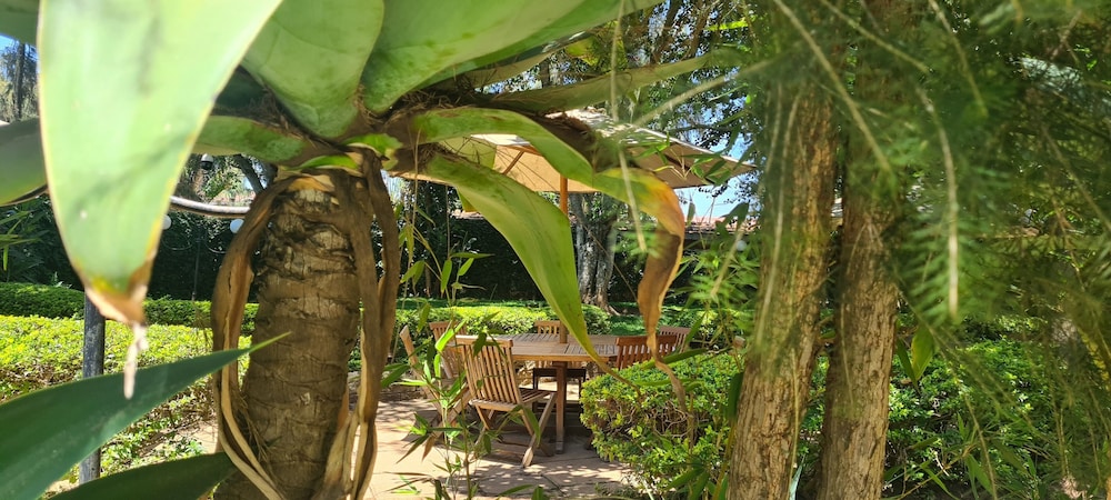 Margarita House 39/50