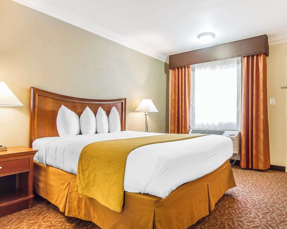 ROOM, QUEEN BED, ACCESSIBLE