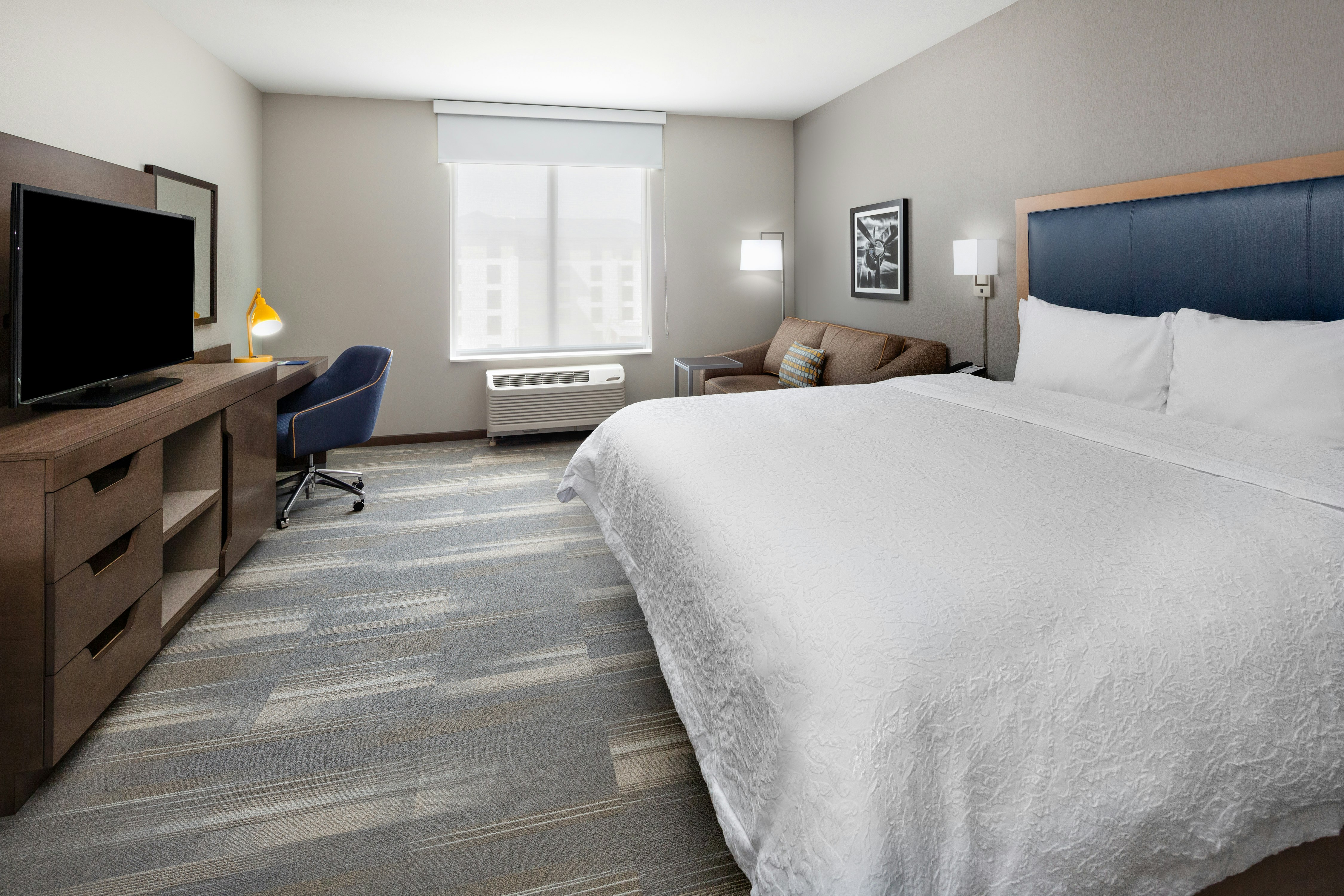 Suite, King Bed