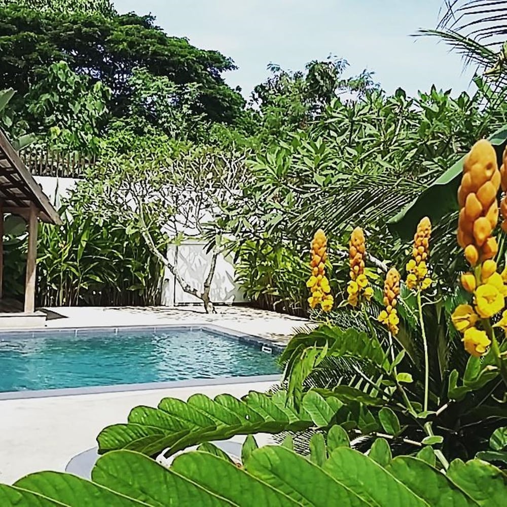 Villa Kalachuchi B&B 45/56
