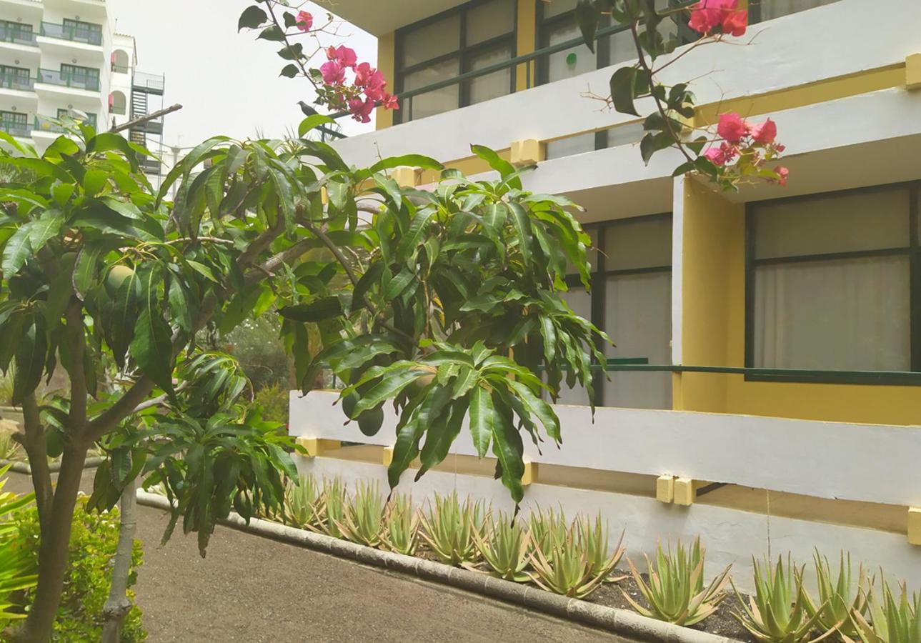 Caroni 45/53