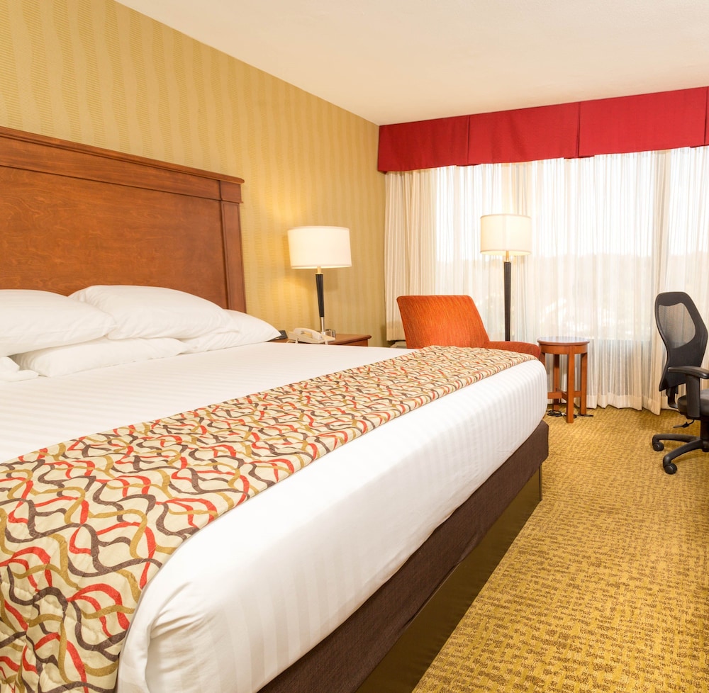 ROOM, KING BED