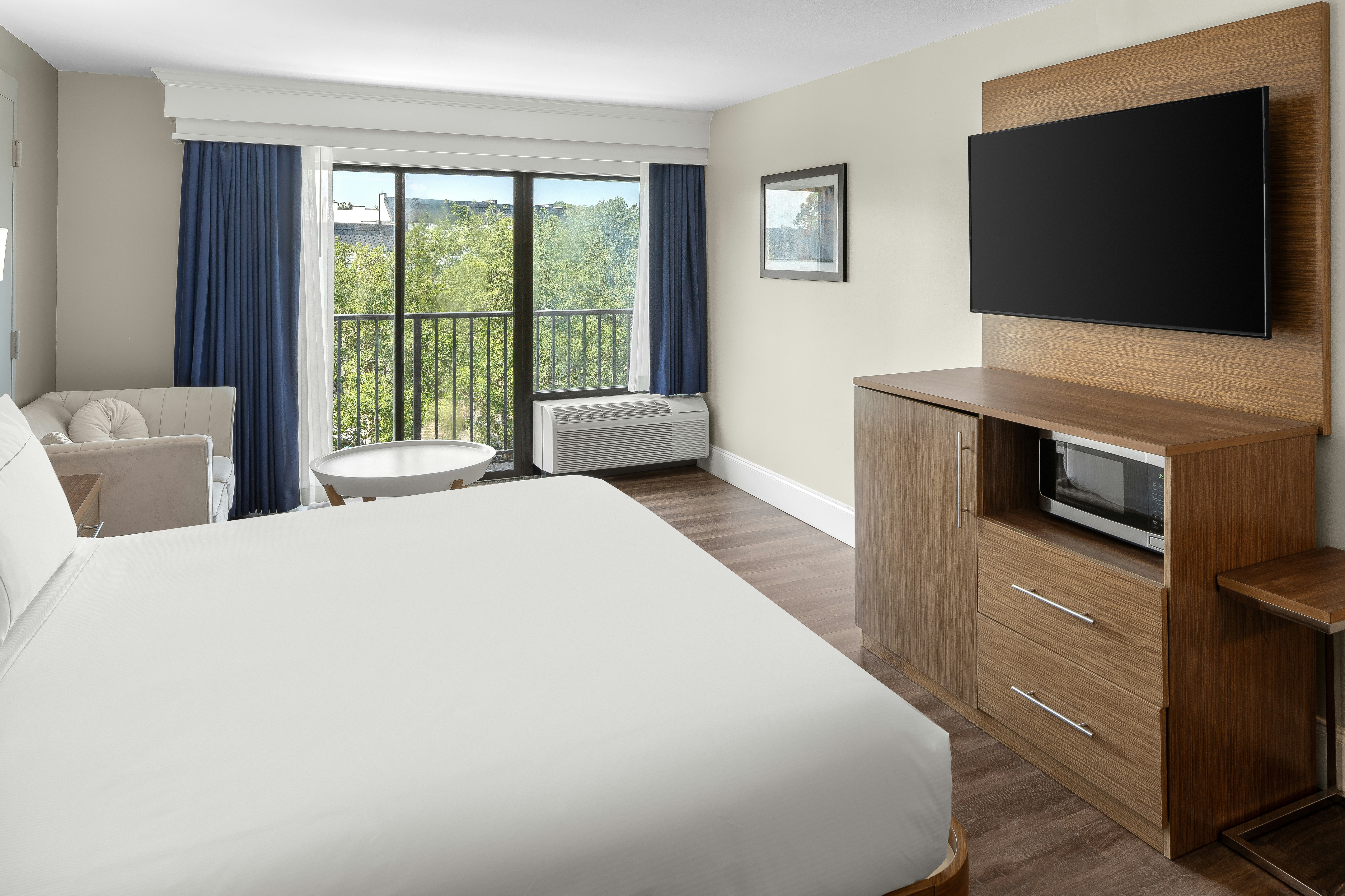 ROOM, KING BED, ACCESSIBLE