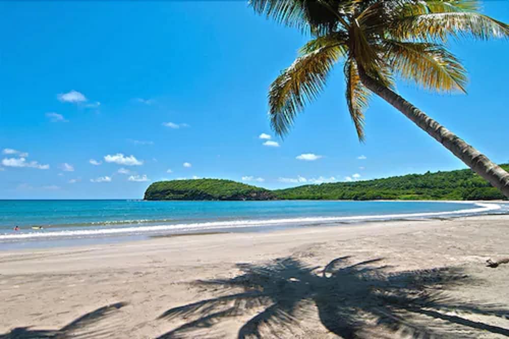 La Sagesse Bay View 38/47