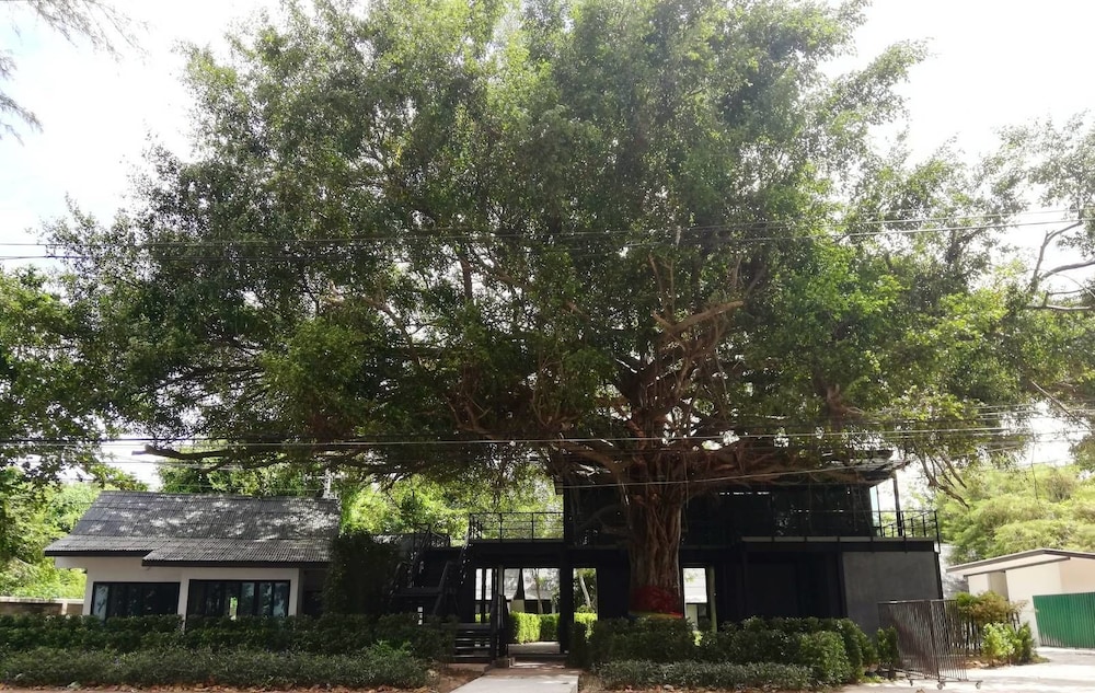 Banyan Resort At Rayong 3/37
