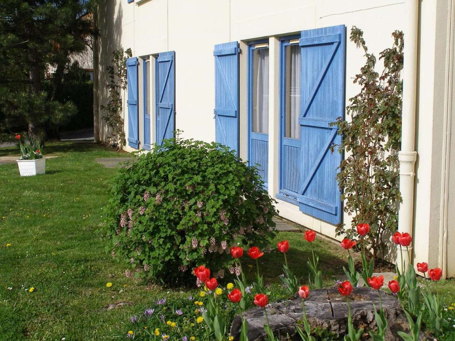 Sure Hotel by Best Western Plaisir 32/33
