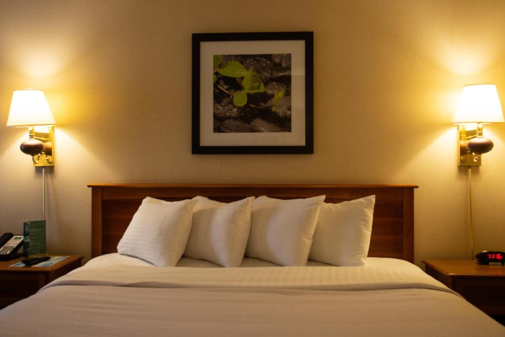 Holiday Lodge Hotel &amp; Conference Center 18/50