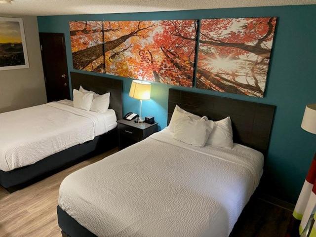 Deluxe, 2 Queen Beds