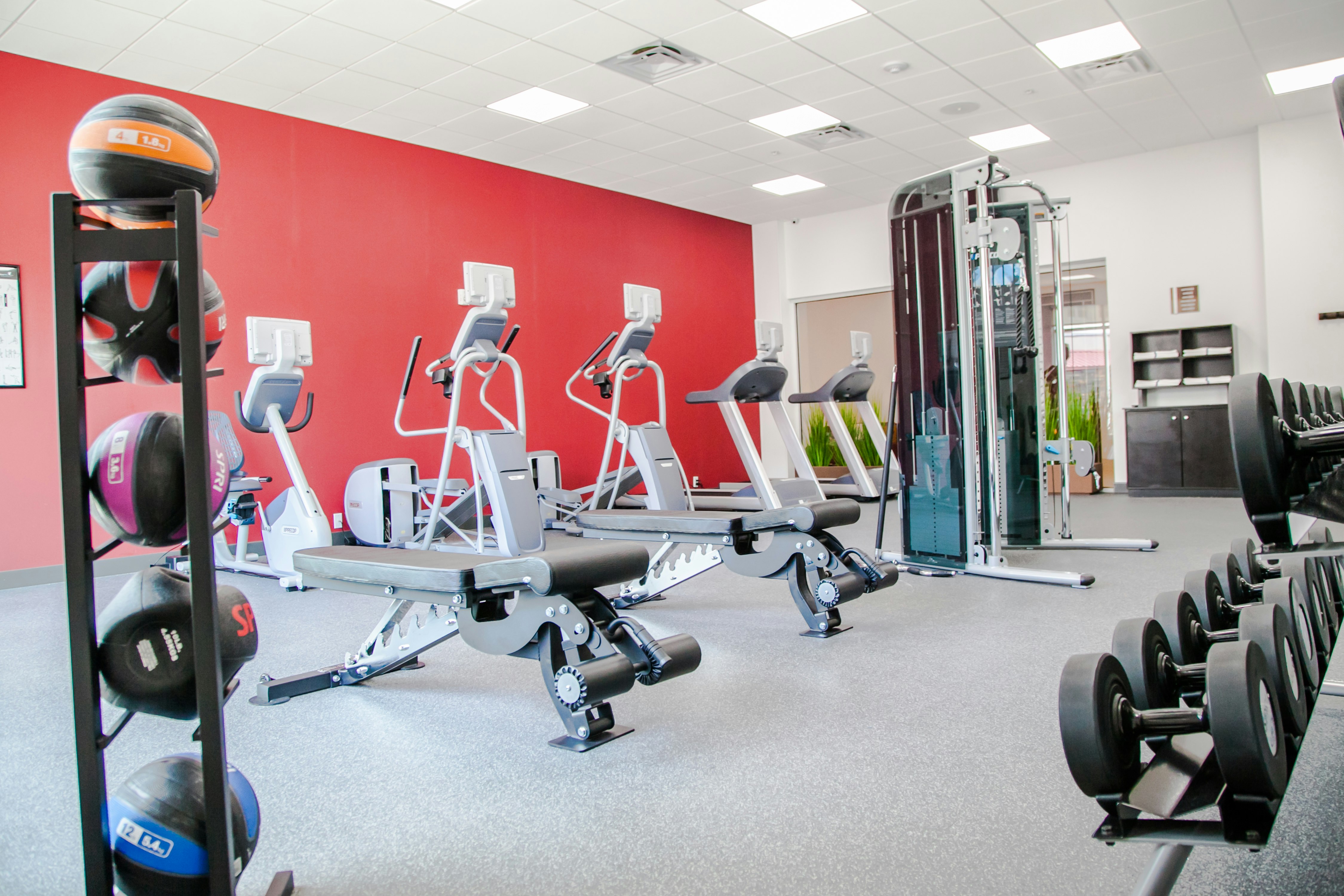 Hilton Garden Inn Tampa Suncoast Parkway 32/53