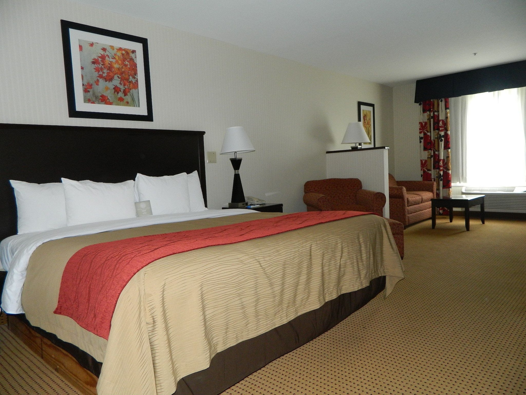 جناح بسرير كينج، Quality Inn Suites Farmington 3/8