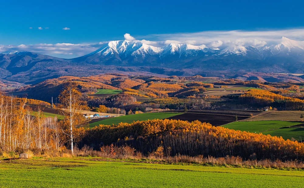 Nest Hotel Sapporo Odori 59/68